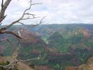 Waimea Canyon